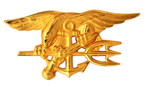 Navy Special Warfare Trident insignia worn by ...