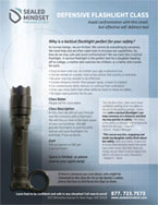 Defensive Flashlight PDF